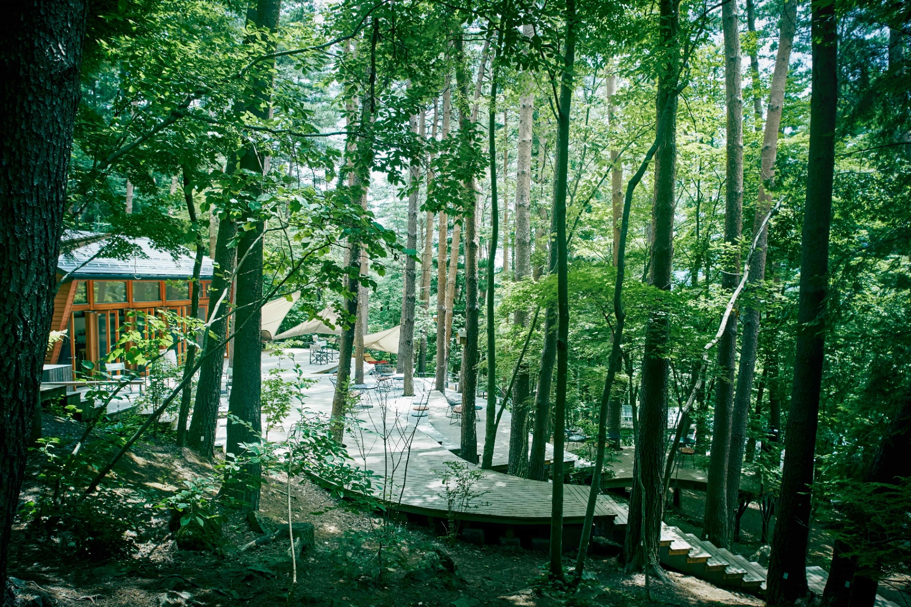 背景圖