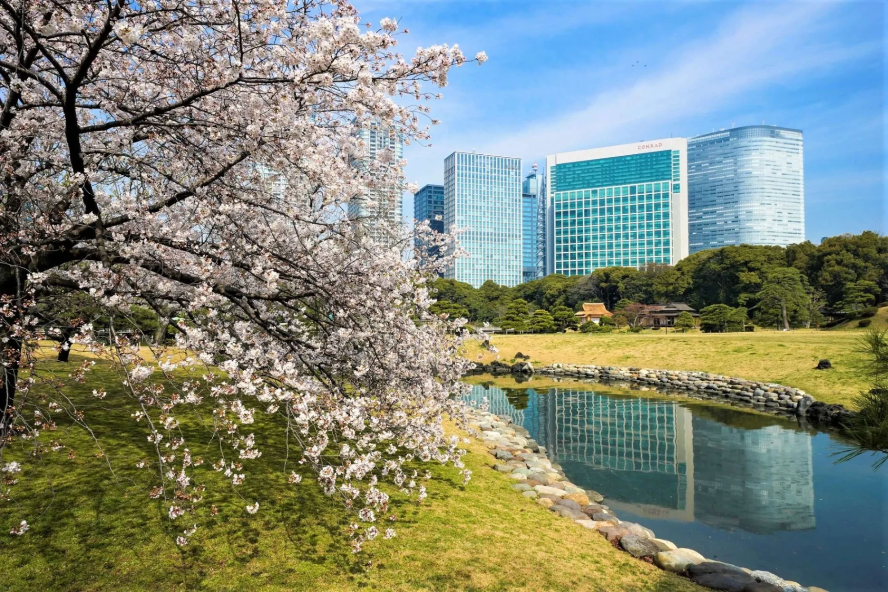 東京・康萊德酒店