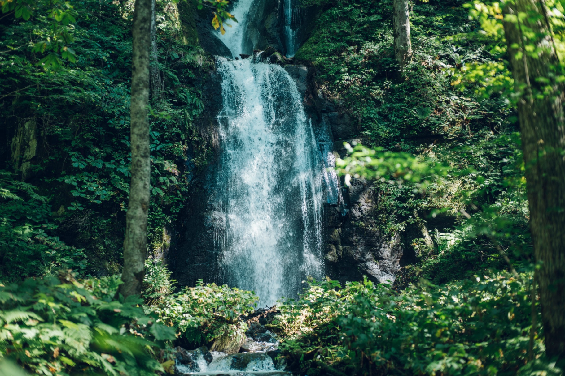 背景圖