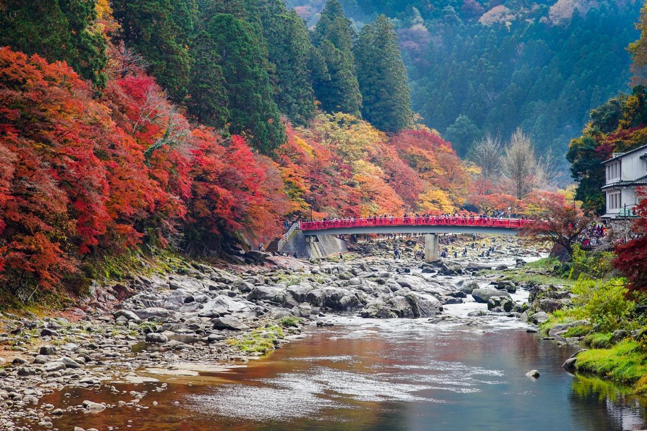 背景圖