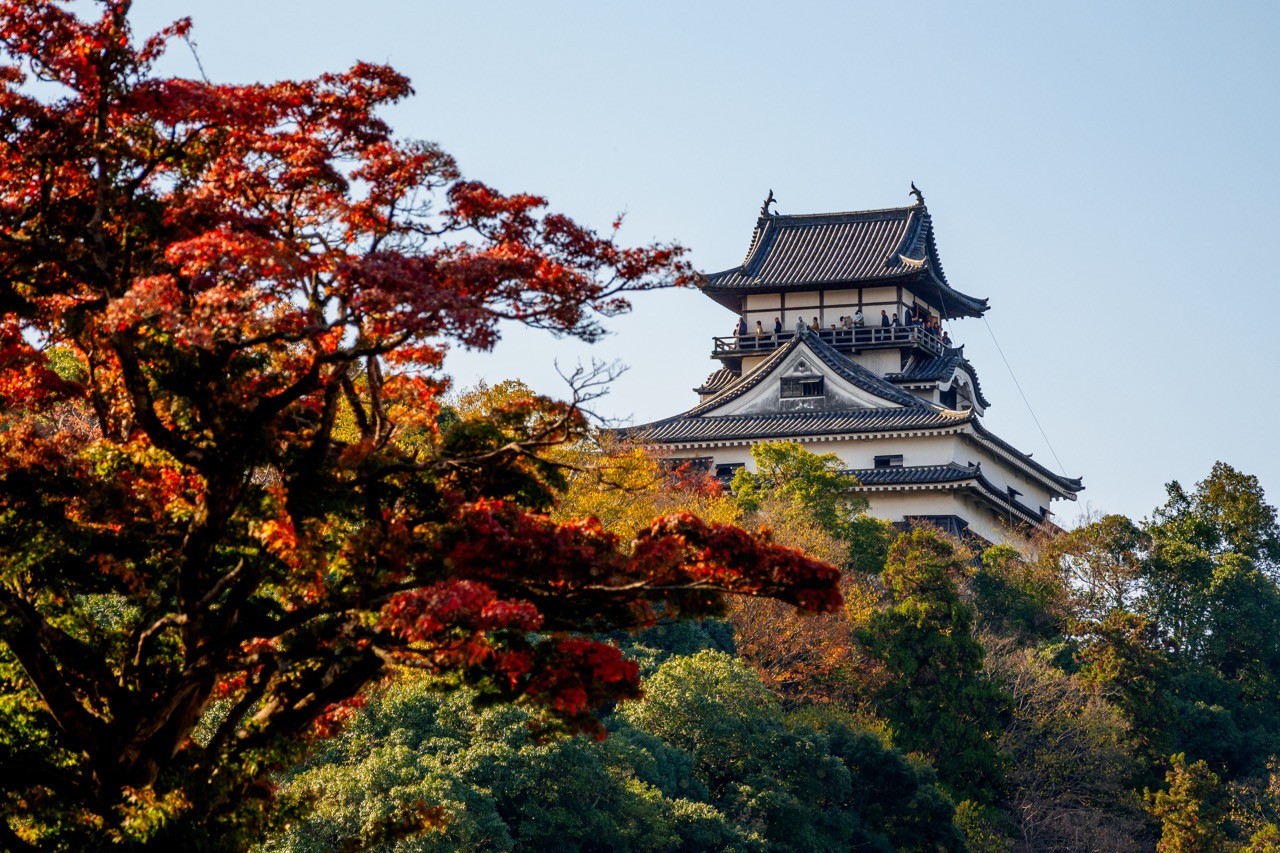 背景圖